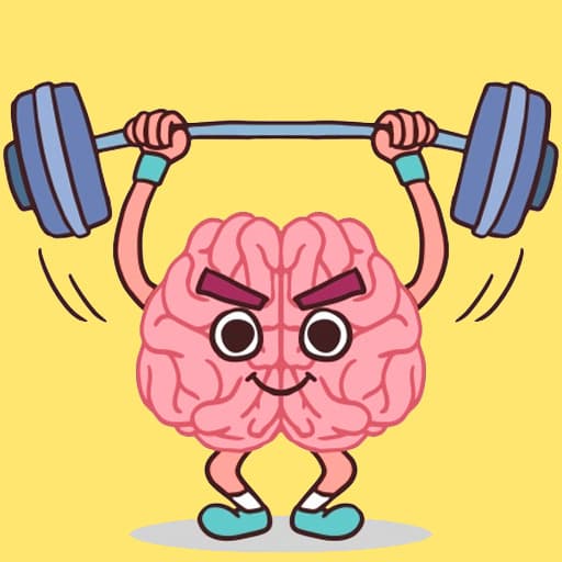 الكمال الدماغ 3D