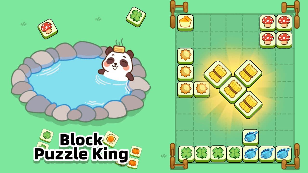 Block Puzzle King