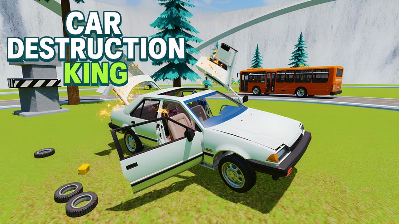 Car Destruction King