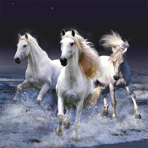 شريحة الخيول