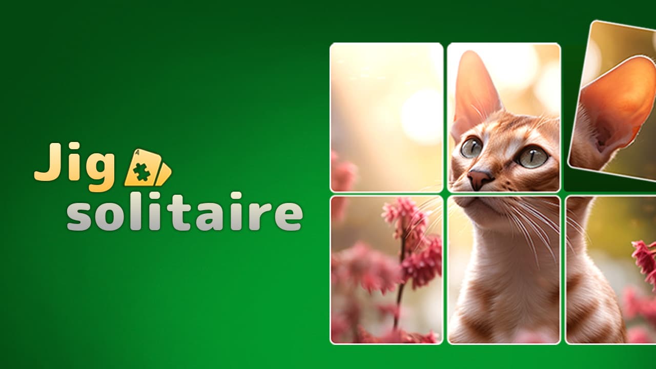 Jigsolitaire