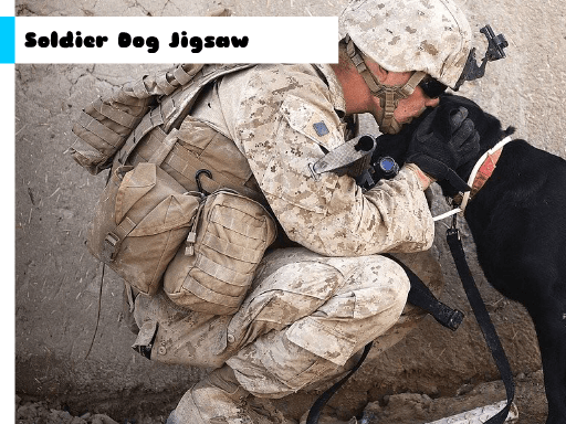 إنقاذ مفتش الغابات