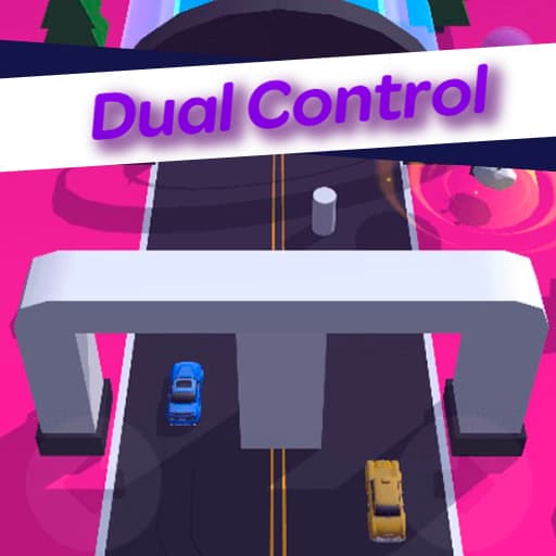 Dual Control 3D