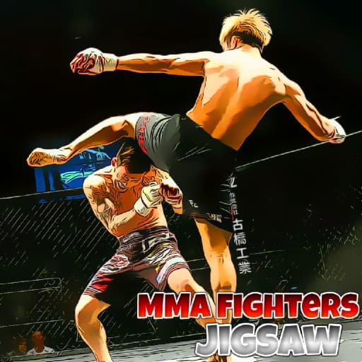 MMA المقاتلين بانوراما