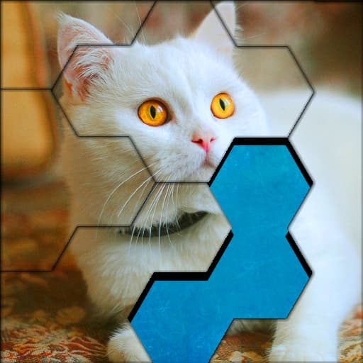 كتل Hexa Jigsaw Puzzle ™